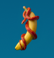 BANANASERA