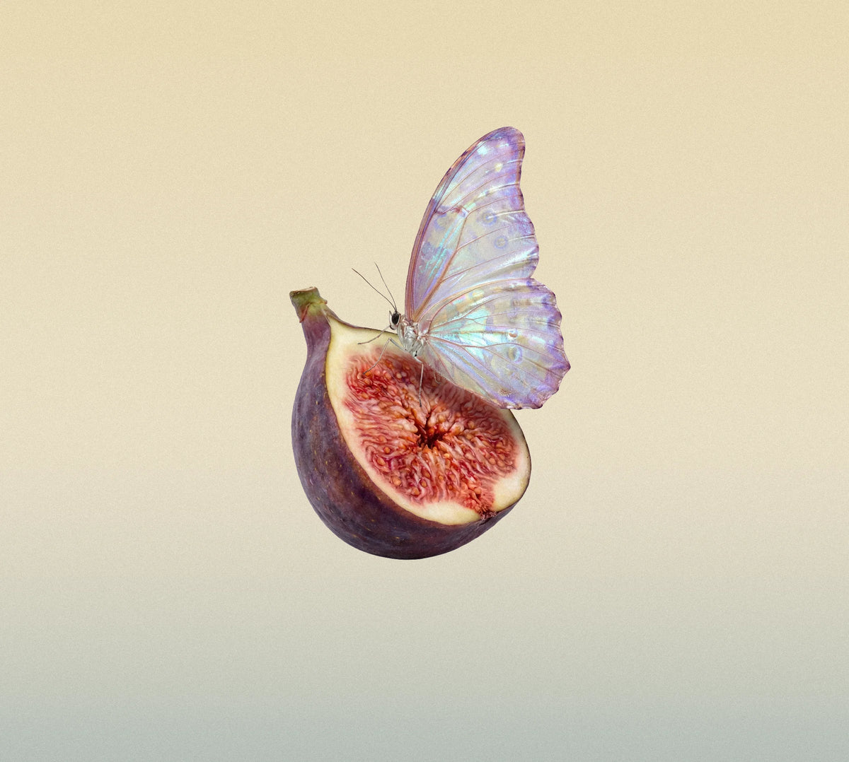 FIG ME HARD DEODORANT